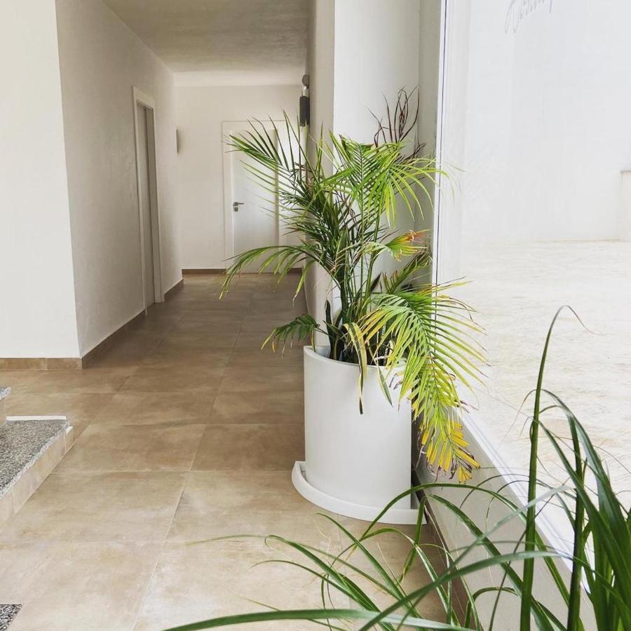 Hostal Pitiusa Ίμπιζα Πόλη Εξωτερικό φωτογραφία